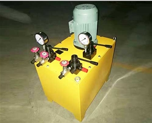 四川非标电动泵生产